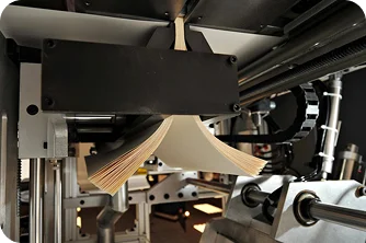 Book Production